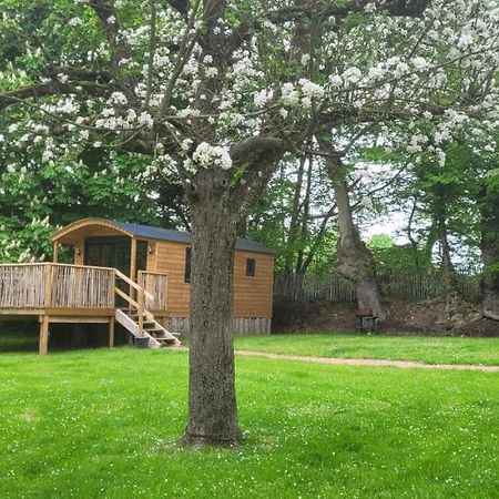 Roulotte Escapade Nature A Morainville - Normandie Екстер'єр фото